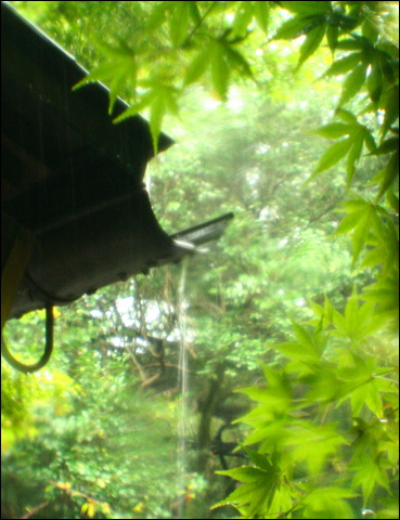 jinja1.jpg